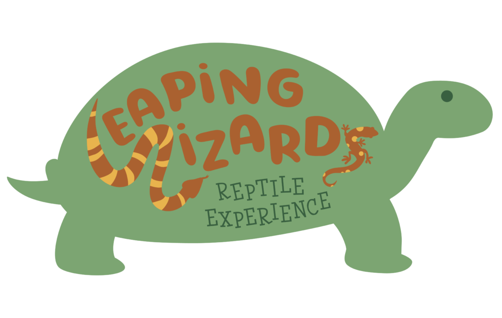 Leaping Lizards Logo with background as a green turtle with business name inside.